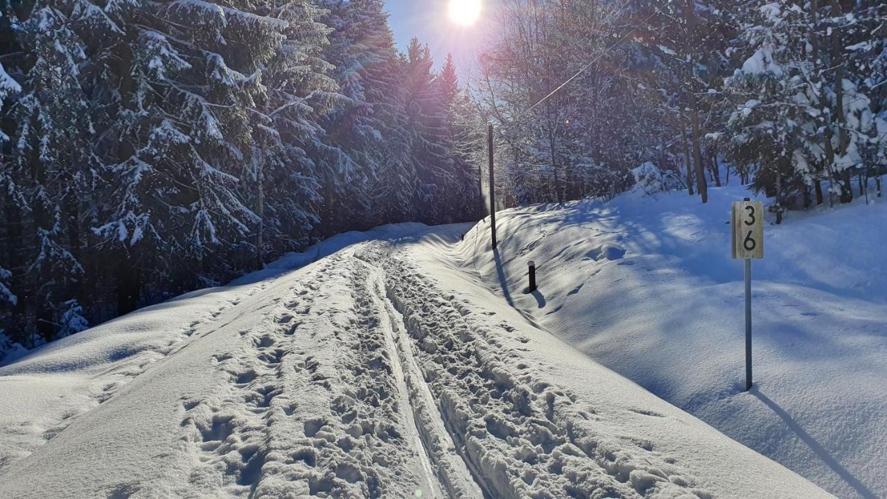 Апартаменти Waldhufenidyll Koenigswalde Im Erzgebirge Konigswalde Екстер'єр фото