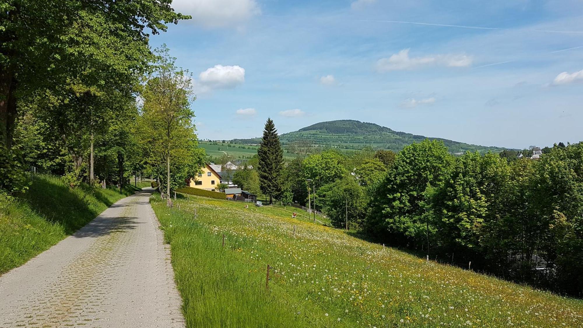 Апартаменти Waldhufenidyll Koenigswalde Im Erzgebirge Konigswalde Екстер'єр фото